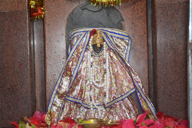 maa durga idol in sanhouli khagaria