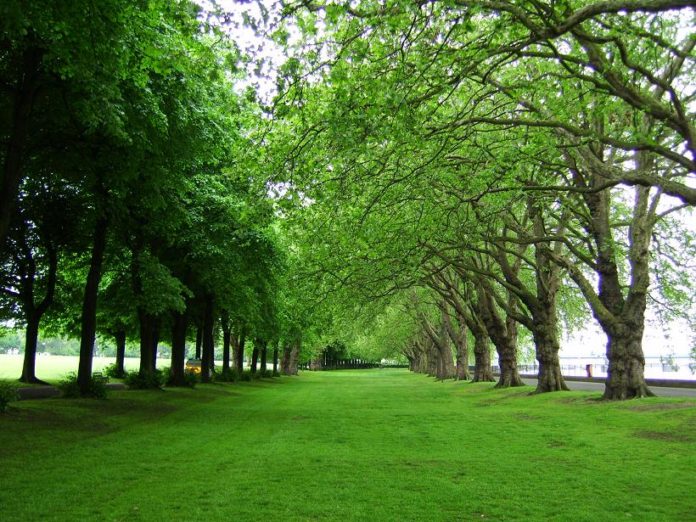 green-area in patna